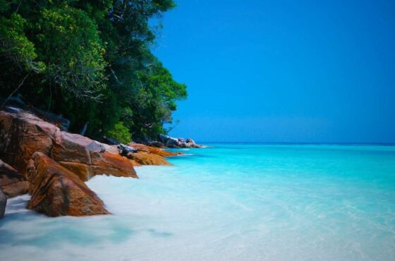 5N/6D Andaman Paradise Tour