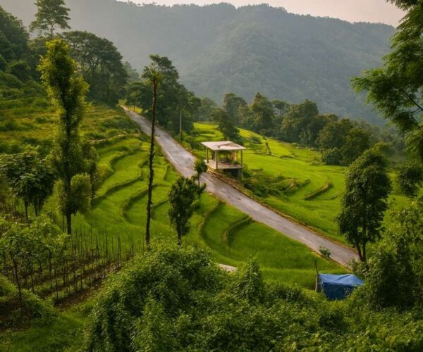 2N/3D Bara Mangwa Tour